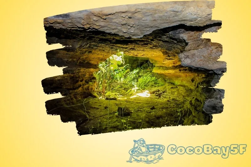 Hang Dơi Tiên An