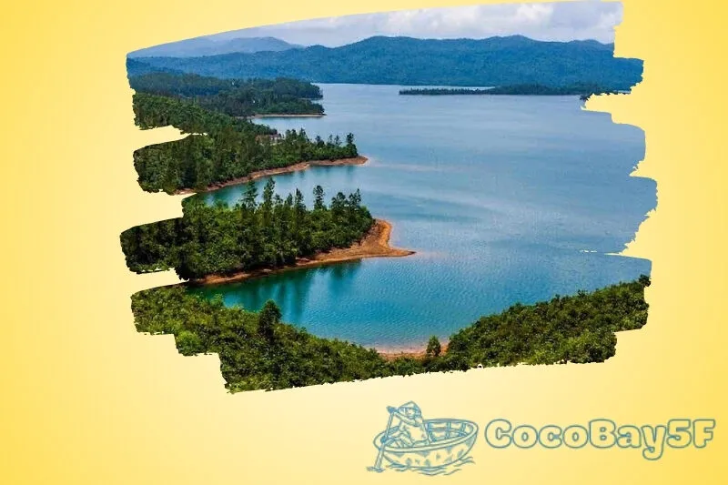Hồ Phú Ninh
