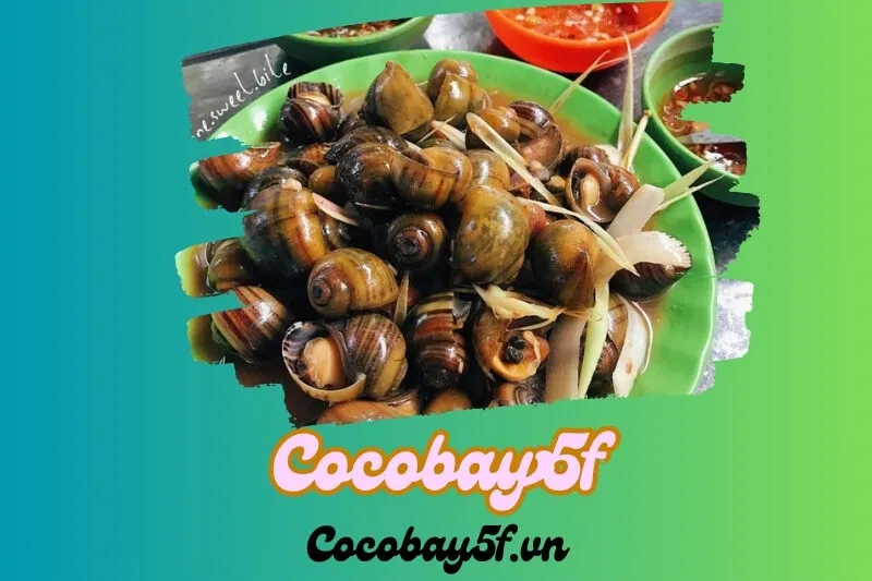 Ốc Phố Cổ Hội An