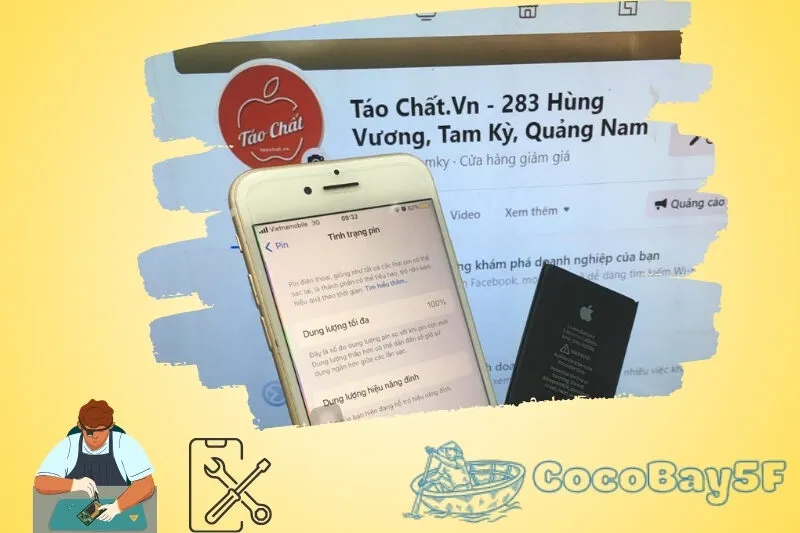 Táo Chất