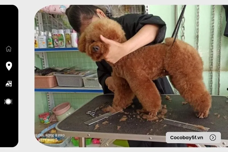 Phòng Khám Thú Y Minh Đức