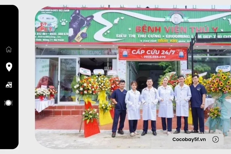 Trung Tâm Chữa Bệnh Thú Cưng Quảng Nam Dogs & Cats