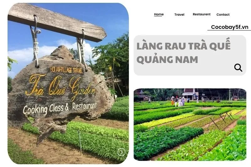 Làng rau Trà Quế Quảng Nam 2025: Khám Phá Đặc Sản và Du Lịch Hấp Dẫn