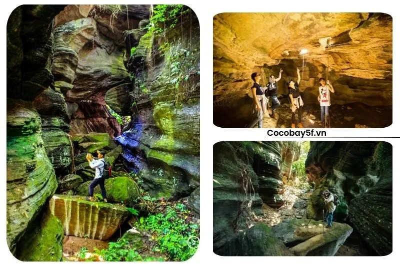 Những Trải Nghiệm Tuyệt Vời Khi Khám Phá Hang Dơi Tiên An