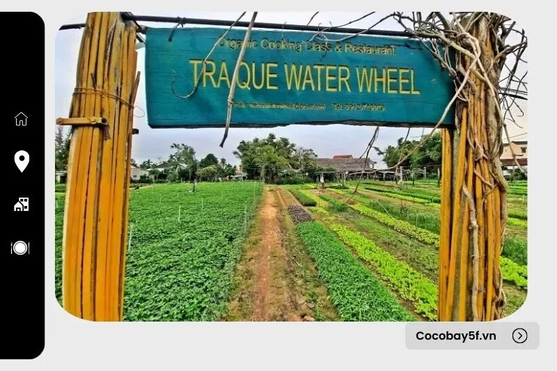 Thời gian lý tưởng để tham quan Làng rau Trà Quế